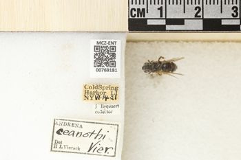 Media type: image;   Entomology 769181 Aspect: Labels